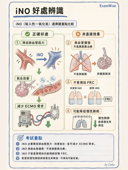 呼吸治療師 - 小兒呼吸器支持 - AI 圖文解析預覽