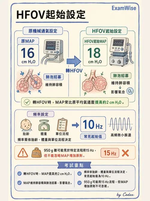 呼吸治療師 - 小兒呼吸器支持 - AI 圖文解析預覽