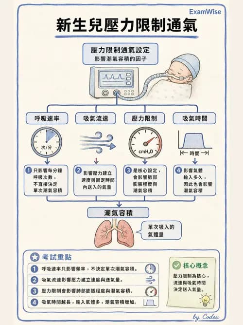 呼吸治療師 - 小兒呼吸器支持 - AI 圖文解析預覽