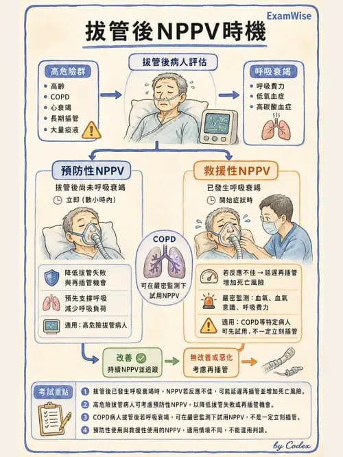 呼吸治療師 - 非侵襲性與居家通氣 - AI 圖文解析預覽