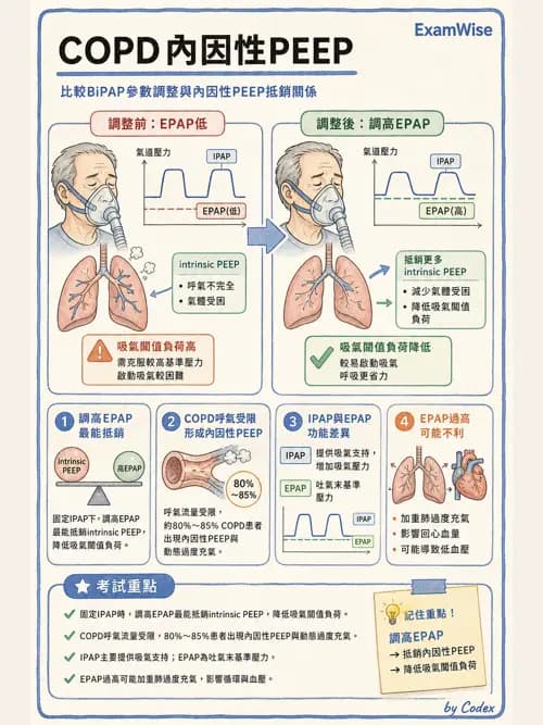 呼吸治療師 - 非侵襲性與居家通氣 - AI 圖文解析預覽