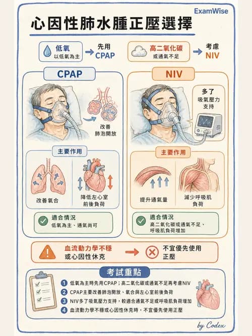呼吸治療師 - 非侵襲性與居家通氣 - AI 圖文解析預覽