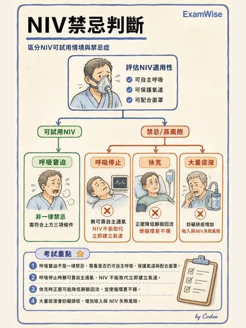 呼吸治療師 - 非侵襲性與居家通氣 - AI 圖文解析預覽