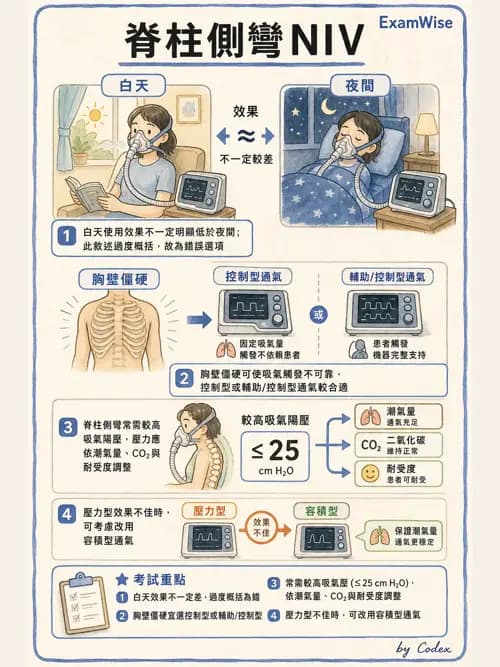 呼吸治療師 - 非侵襲性與居家通氣 - AI 圖文解析預覽