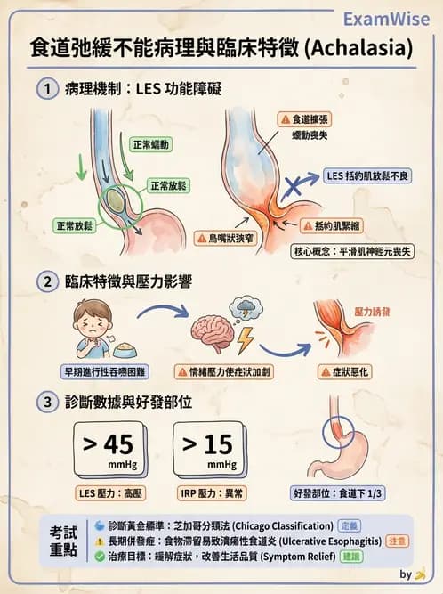 護理師 - 上消化道疾病 - AI 圖文解析預覽