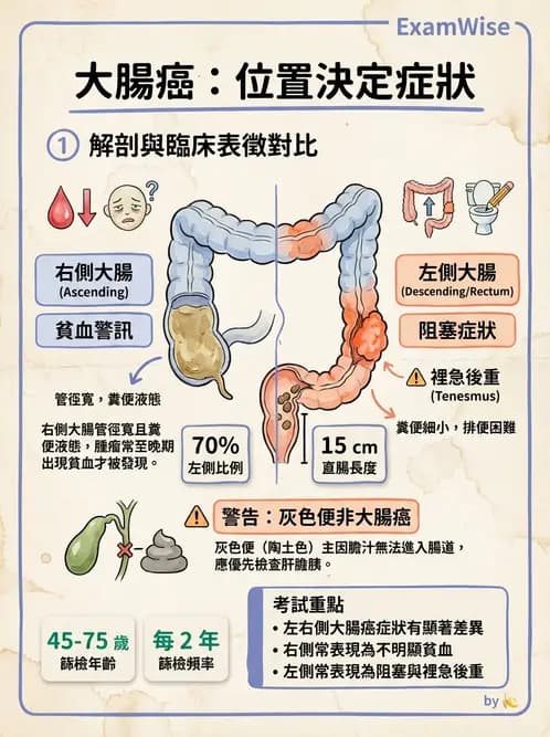 護理師 - 消化系統癌症護理 - AI 圖文解析預覽
