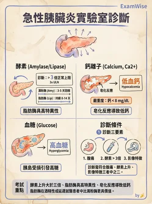 護理師 - 肝膽胰疾病 - AI 圖文解析預覽