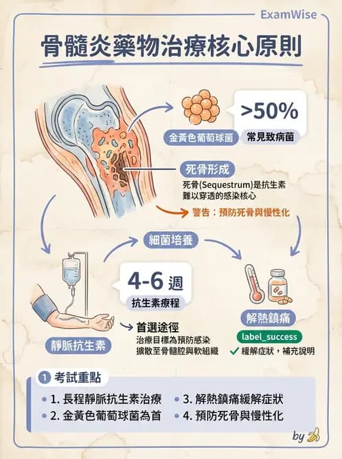 護理師 - 骨折與牽引護理 - AI 圖文解析預覽
