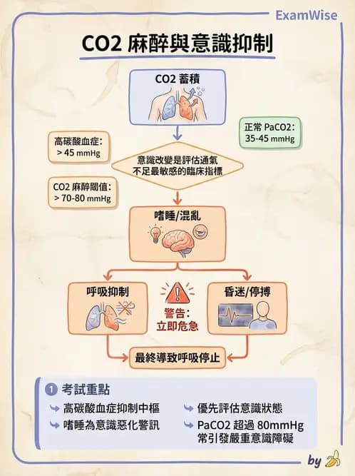 護理師 - 呼吸衰竭與胸腔護理 - AI 圖文解析預覽