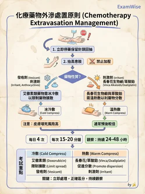 護理師 - 化療護理 - AI 圖文解析預覽