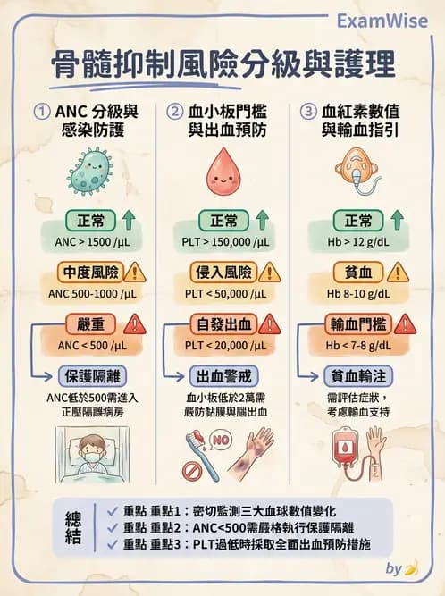 護理師 - 化療護理 - AI 圖文解析預覽