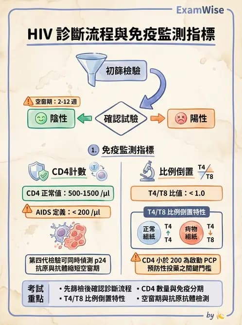 護理師 - 器官移植與AIDS - AI 圖文解析預覽