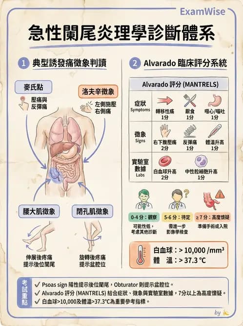 護理師 - 腸道疾病與手術護理 - AI 圖文解析預覽