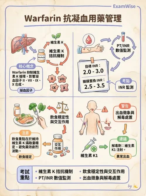 護理師 - 高血壓與周邊血管疾病 - AI 圖文解析預覽