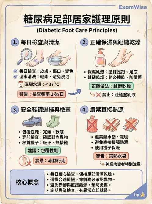 護理師 - 糖尿病併發症護理 - AI 圖文解析預覽