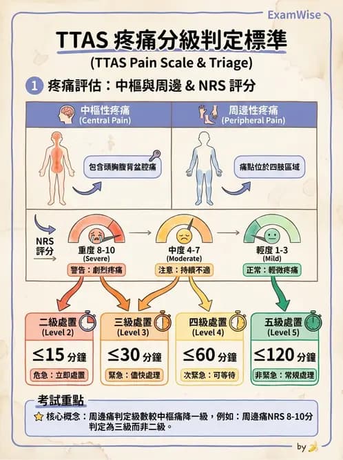 護理師 - CPR、AED與急救技術 - AI 圖文解析預覽