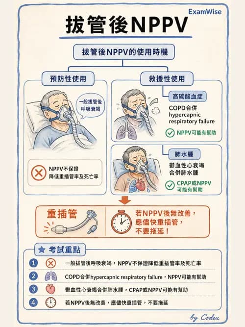 呼吸治療師 - ARDS與呼吸衰竭 - AI 圖文解析預覽