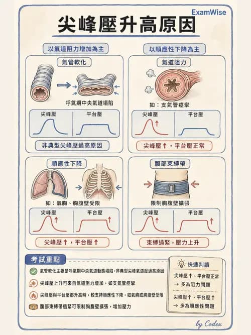 呼吸治療師 - ARDS與呼吸衰竭 - AI 圖文解析預覽