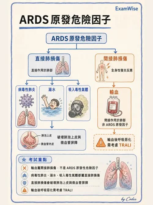 呼吸治療師 - ARDS與呼吸衰竭 - AI 圖文解析預覽