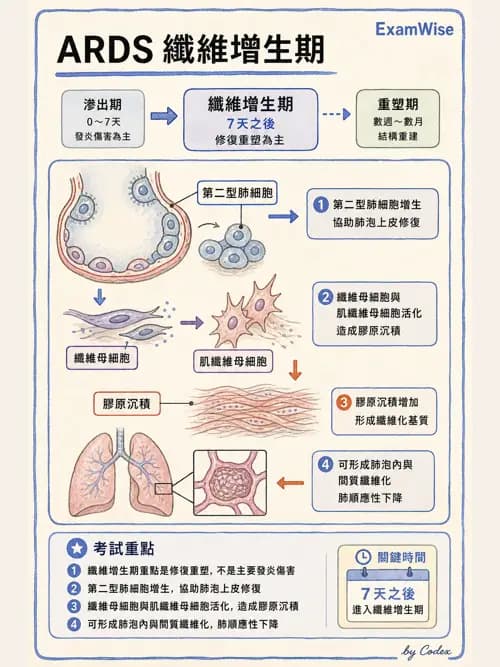 呼吸治療師 - ARDS與呼吸衰竭 - AI 圖文解析預覽