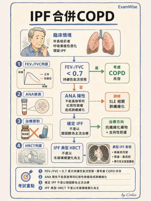 呼吸治療師 - 術後與其他呼吸重症 - AI 圖文解析預覽