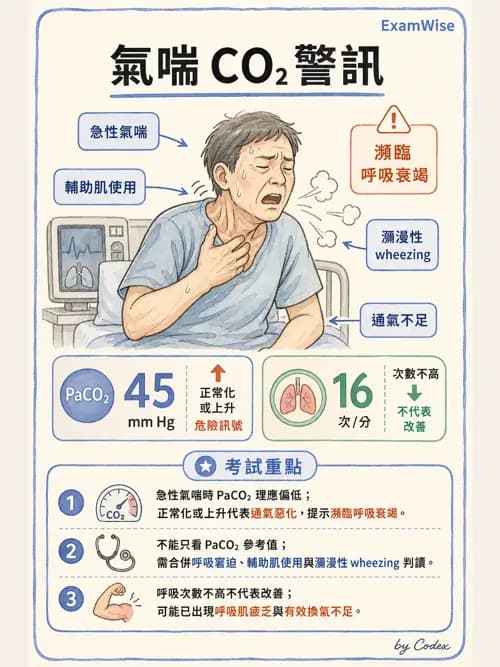 呼吸治療師 - 心臟疾病與COPD重症 - AI 圖文解析預覽