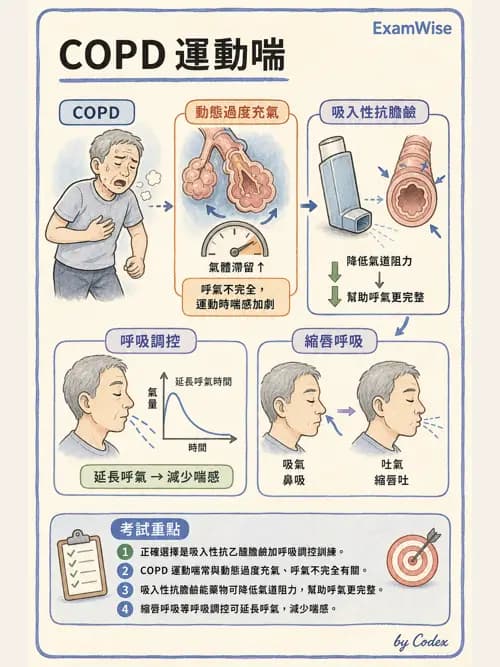 呼吸治療師 - 心臟疾病與COPD重症 - AI 圖文解析預覽