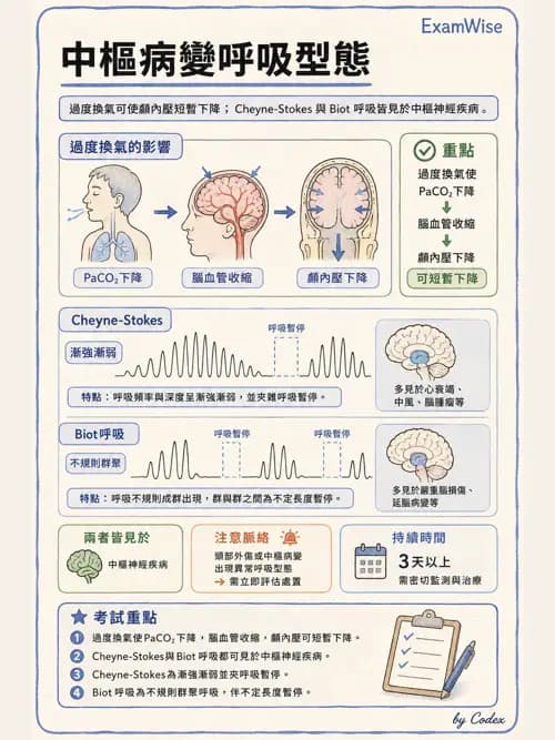 呼吸治療師 - 術後與其他呼吸重症 - AI 圖文解析預覽