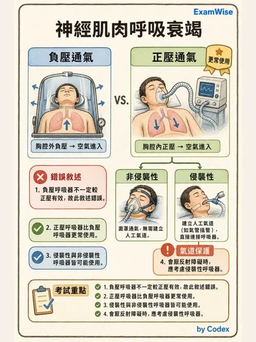 呼吸治療師 - 術後與其他呼吸重症 - AI 圖文解析預覽