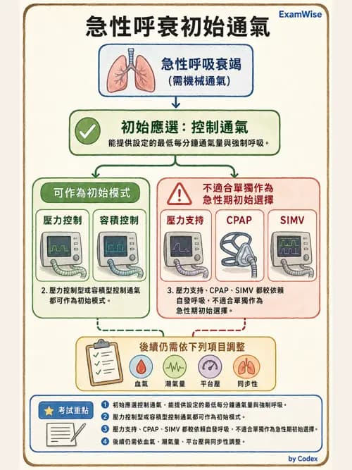 呼吸治療師 - ARDS與呼吸衰竭 - AI 圖文解析預覽