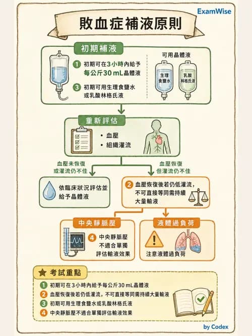 呼吸治療師 - 休克、敗血症與多器官衰竭 - AI 圖文解析預覽