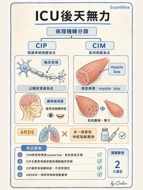 呼吸治療師 - 休克、敗血症與多器官衰竭 - AI 圖文解析預覽