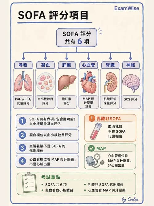 呼吸治療師 - 休克、敗血症與多器官衰竭 - AI 圖文解析預覽