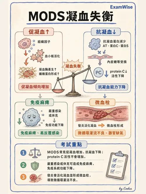呼吸治療師 - 休克、敗血症與多器官衰竭 - AI 圖文解析預覽