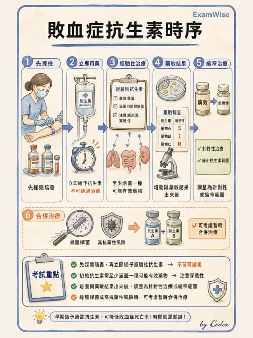 呼吸治療師 - 休克、敗血症與多器官衰竭 - AI 圖文解析預覽