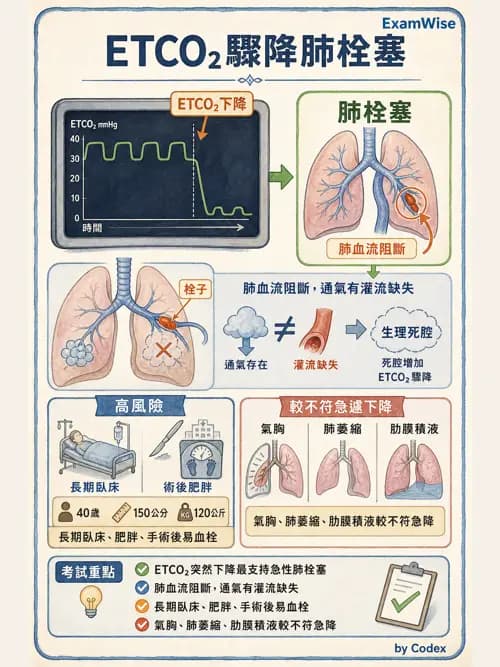 呼吸治療師 - 術後與其他呼吸重症 - AI 圖文解析預覽