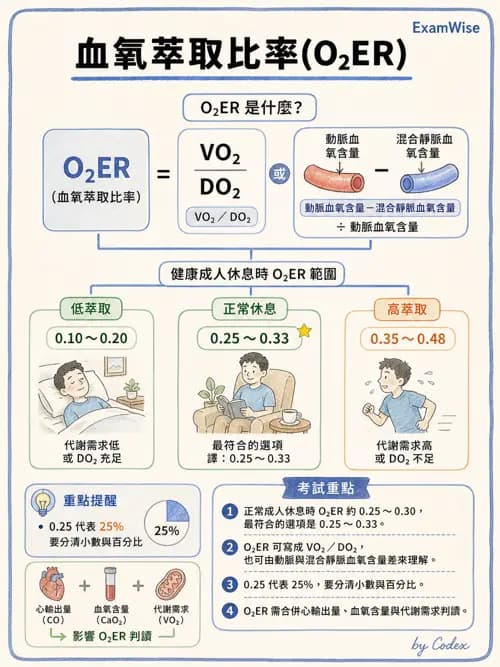 呼吸治療師 - 重症監測與判讀 - AI 圖文解析預覽