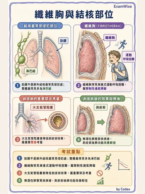 呼吸治療師 - 術後與其他呼吸重症 - AI 圖文解析預覽