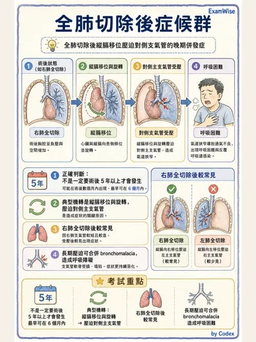 呼吸治療師 - 術後與其他呼吸重症 - AI 圖文解析預覽