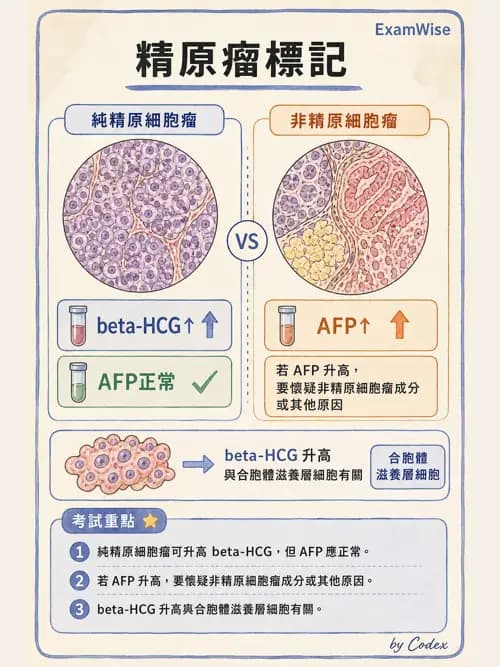 呼吸治療師 - 術後與其他呼吸重症 - AI 圖文解析預覽