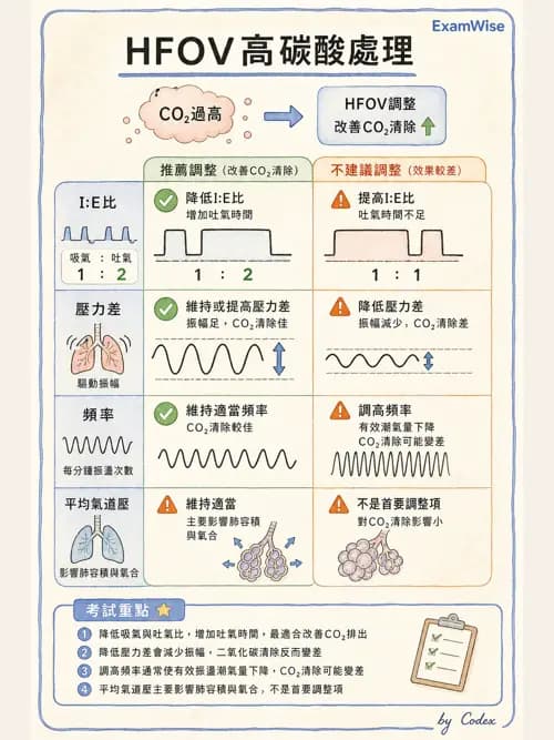 呼吸治療師 - 重症特殊處置 - AI 圖文解析預覽