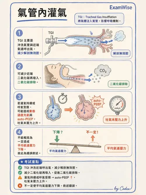 呼吸治療師 - 重症特殊處置 - AI 圖文解析預覽