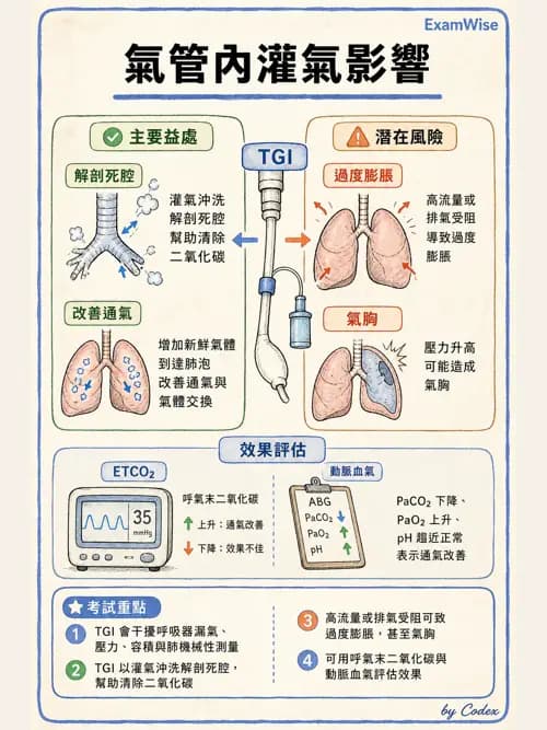 呼吸治療師 - 重症特殊處置 - AI 圖文解析預覽