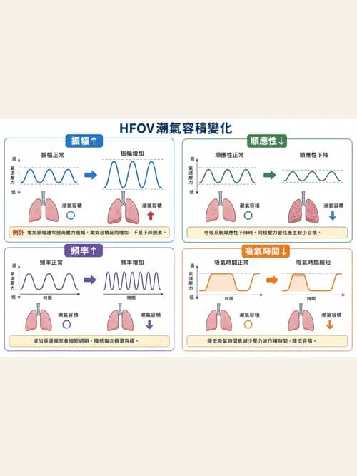 呼吸治療師 - 重症特殊處置 - AI 圖文解析預覽