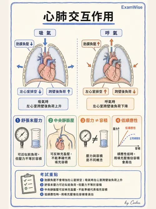 呼吸治療師 - 重症監測與判讀 - AI 圖文解析預覽