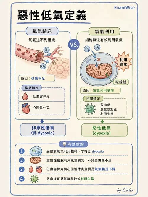 呼吸治療師 - 重症監測與判讀 - AI 圖文解析預覽