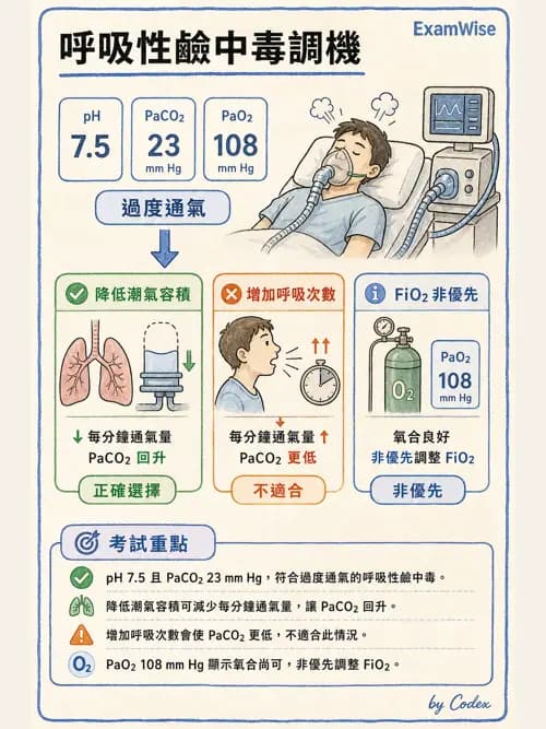 呼吸治療師 - 重症監測與判讀 - AI 圖文解析預覽