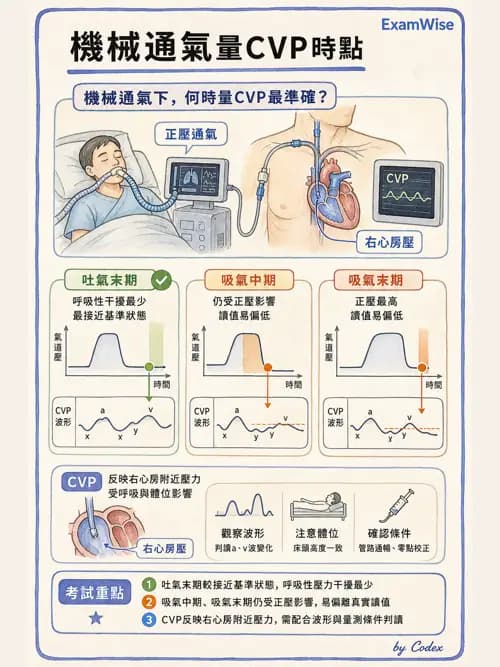 呼吸治療師 - 重症監測與判讀 - AI 圖文解析預覽
