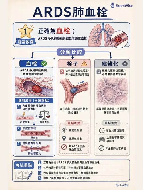 呼吸治療師 - ARDS與呼吸衰竭 - AI 圖文解析預覽