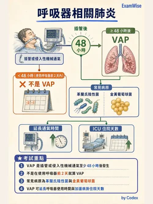 呼吸治療師 - 呼吸器併發症與感染 - AI 圖文解析預覽